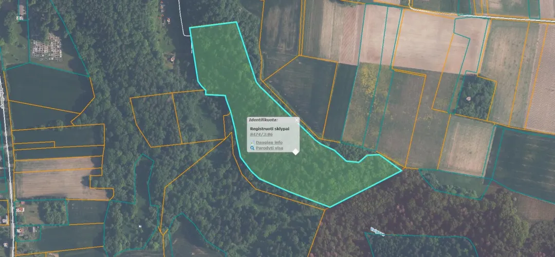 Parduodama 118/380 dalis 3,8 ha miškų ūkio paskirties žemės sklype Plokščių k., Šakių r. sav.