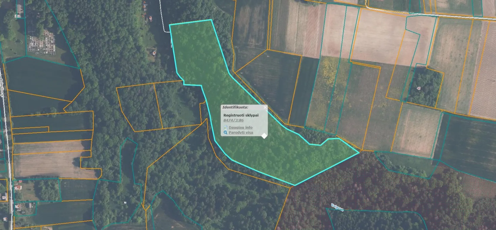 Parduodama 118/380 dalis 3,8 ha miškų ūkio paskirties žemės sklype Plokščių k., Šakių r. sav.