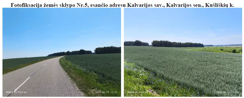 Parduodamas 7,5 ha žemės ūkio paskirties sklypas Kušliškių k.