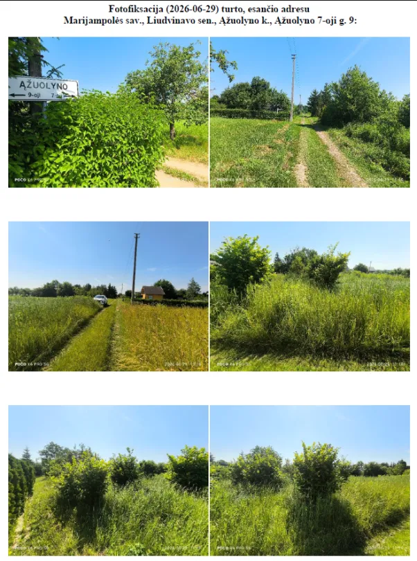 6,04 a mėgėjų sodo žemės sklypas Ąžuolyno kaime