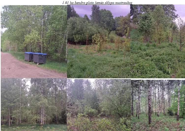 1/3 žemės sklypo dalies aukcionas Vilniaus r. sav., Augustų k.