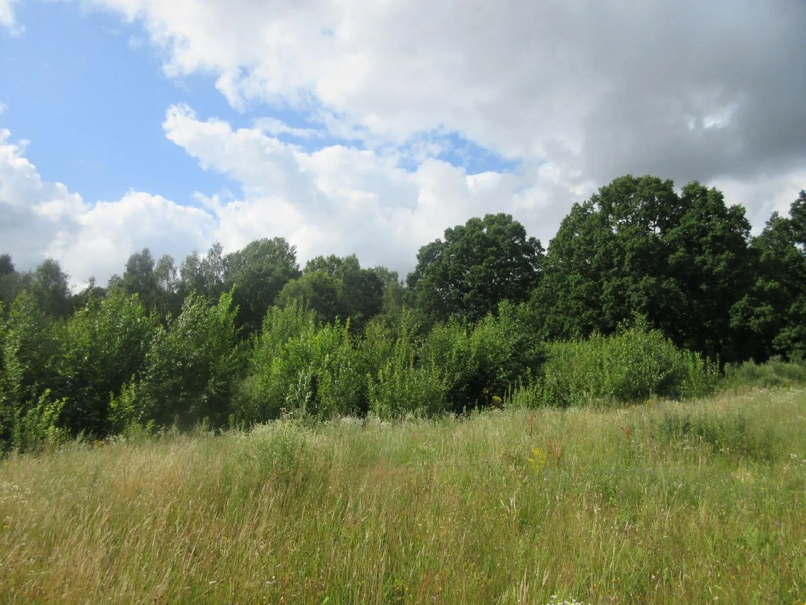 6,64 ha miškų ūkio paskirties žemės sklypas Jucaičių k.