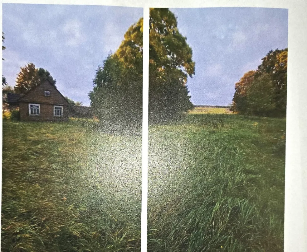 Parduodamas gyvenamasis namas su ūkiniais pastatais ir 0,8022 ha žemės sklypu Bajorų kaime