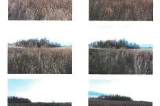 Parduodamas 2/3 žemės ūkio paskirties sklypo dalis Laplėgių k., Kelmės r. sav.