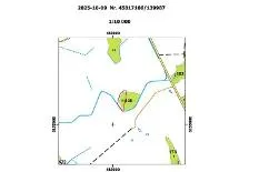 Miškų ūkio paskirties 0,75 ha žemės sklypas Kelmės r. sav., Sotkalnio k.