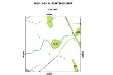 Miškų ūkio paskirties 0,75 ha žemės sklypas Kelmės r. sav., Sotkalnio k.