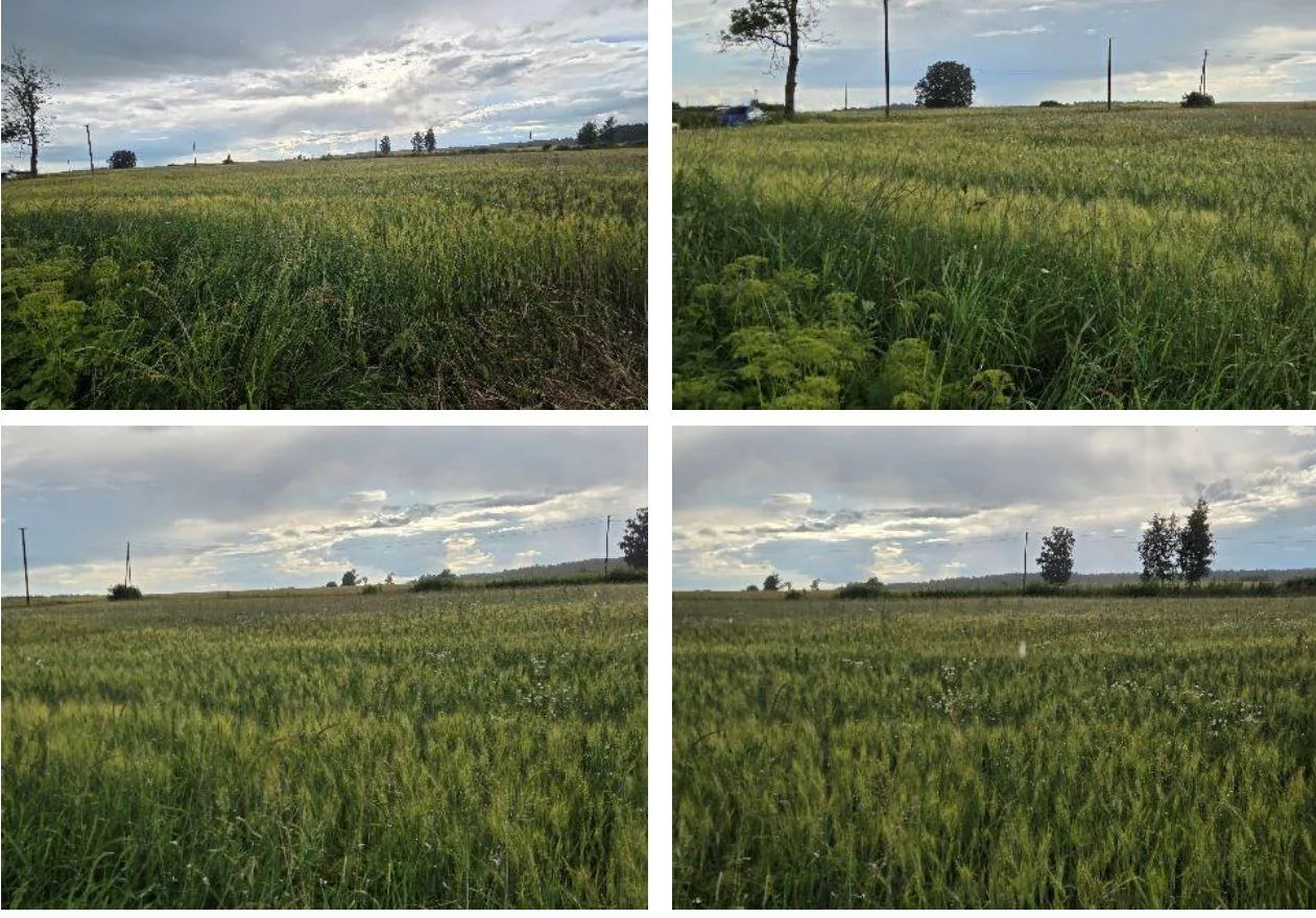 Parduodamas 1,29 ha žemės sklypas Biržų r. sav., Gaigalų k.