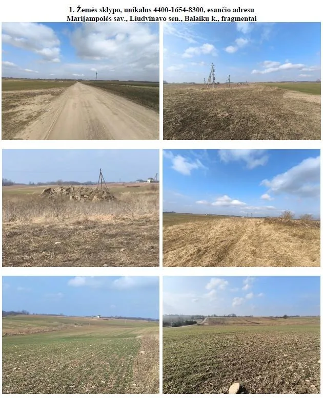 Parduodamas 2,2 ha žemės ūkio paskirties sklypas Balaikų kaime
