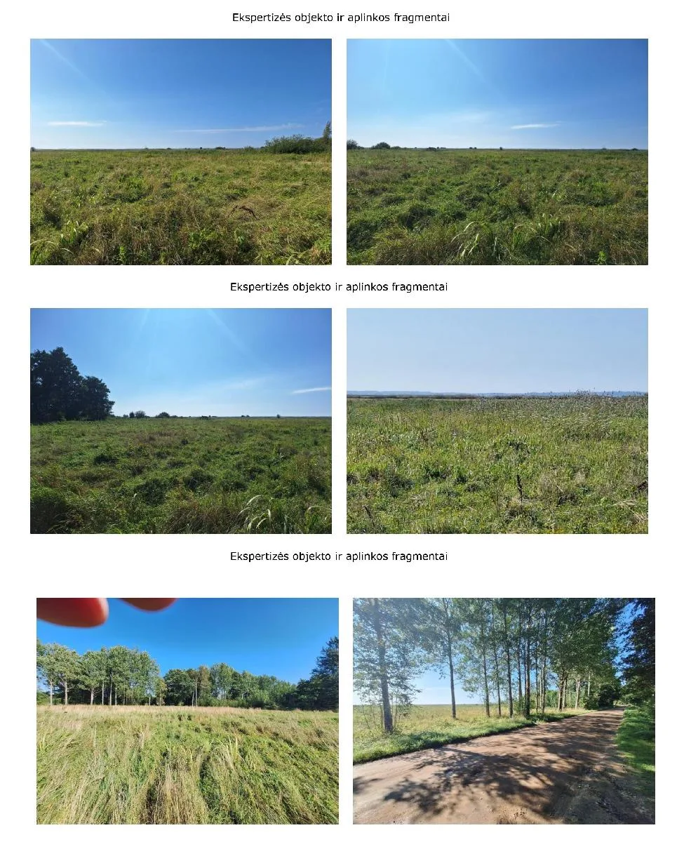 8,35 ha žemės ūkio paskirties sklypas Svencelėje