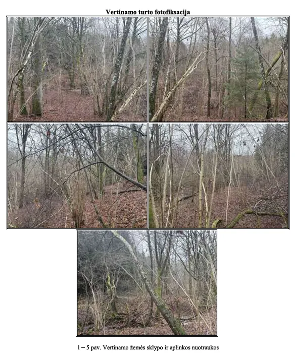 Parduodamas 4,23 ha žemės sklypas Kretingos r. sav., Lygnugariškių k.