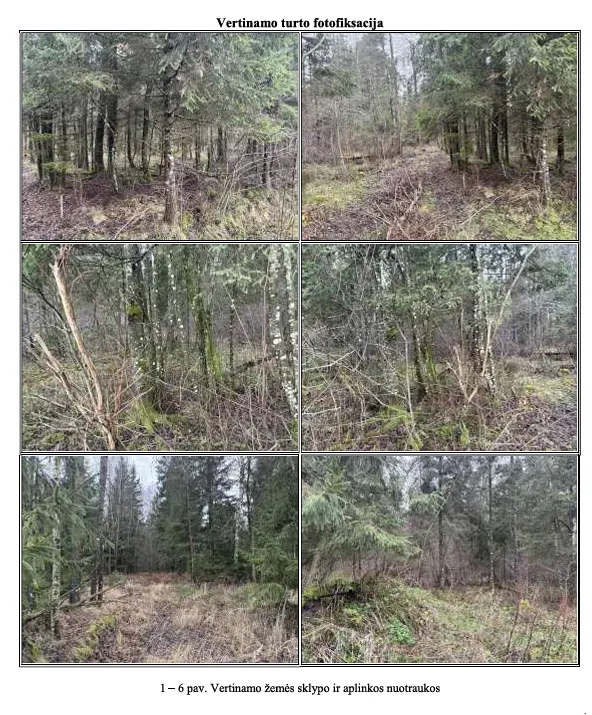 Parduodamas 1,86 ha žemės sklypas Mažųjų Žalimų k., Kretingos r. sav.