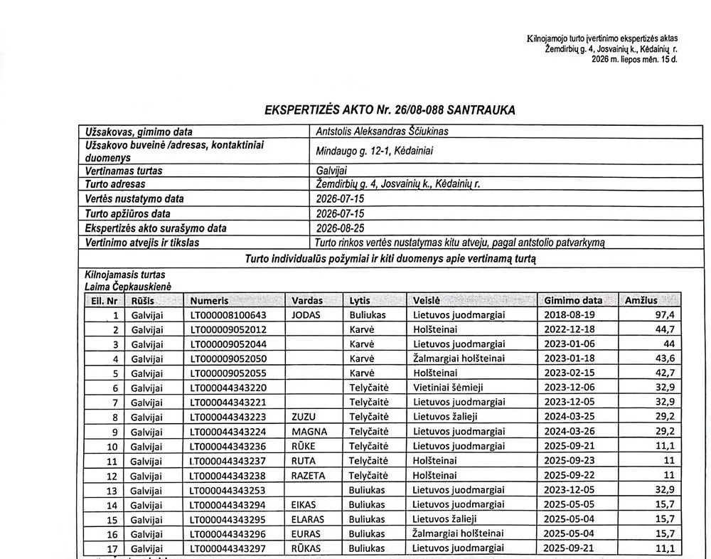 Galvijai: buliukai, karvės ir telyčaitės