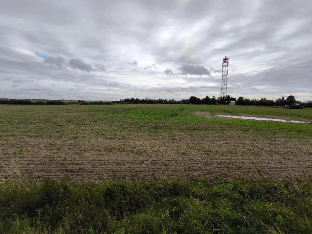 Išnuomojamas 2,41 ha žemės sklypas Šeduvoje, Pakruojo g. 26