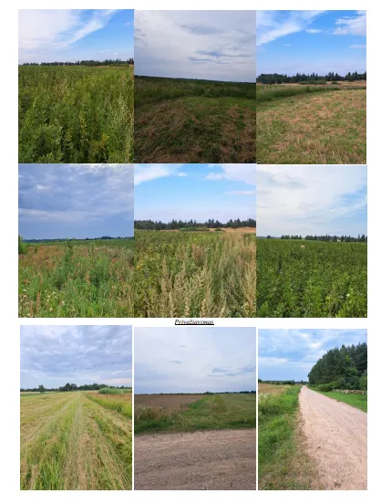 5,9 ha žemės ūkio paskirties sklypas Plikiškių kaime