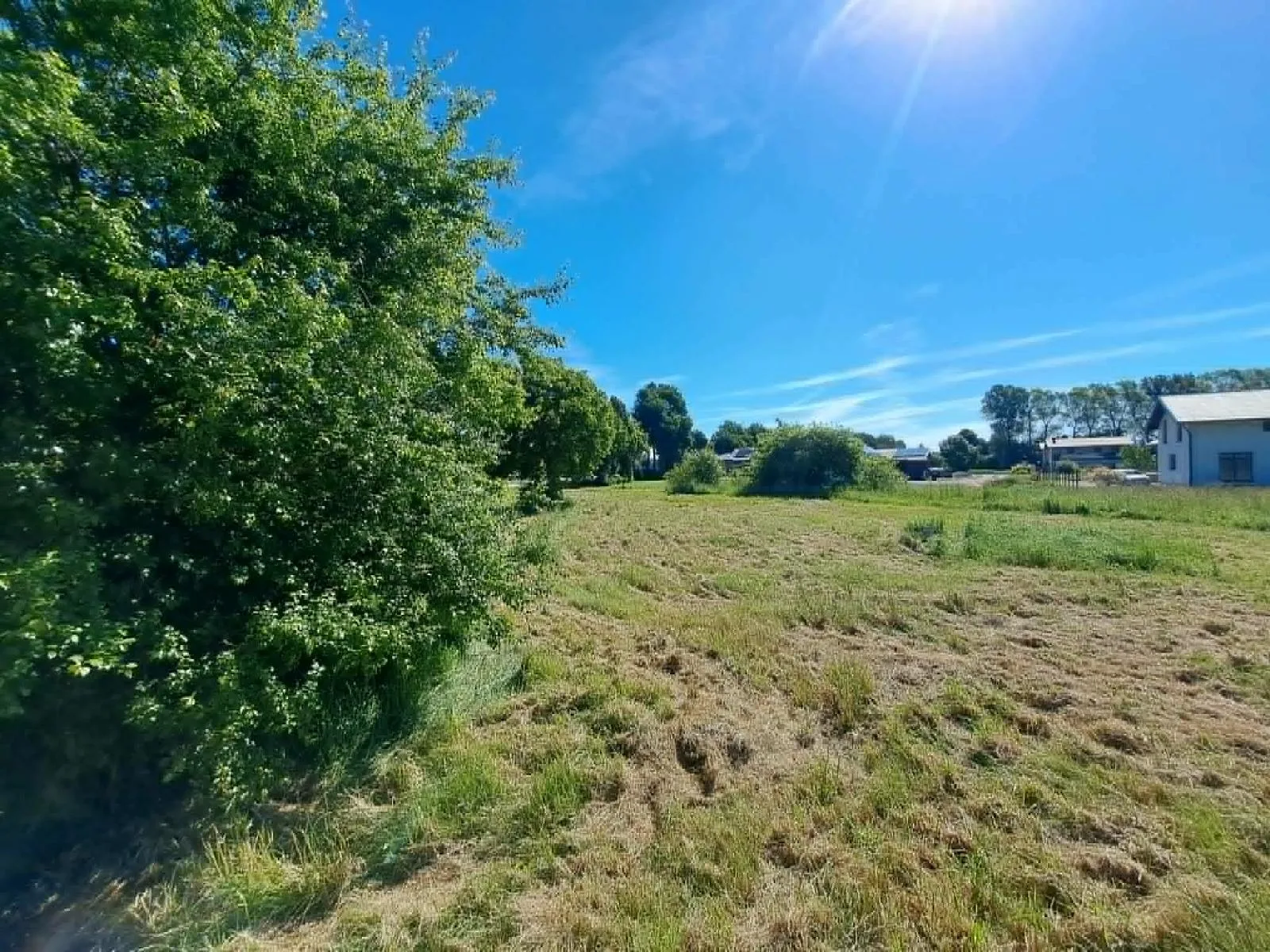 Parduodamas 16,2 a žemės sklypas Kretingoje, Knygnešių g. 1D