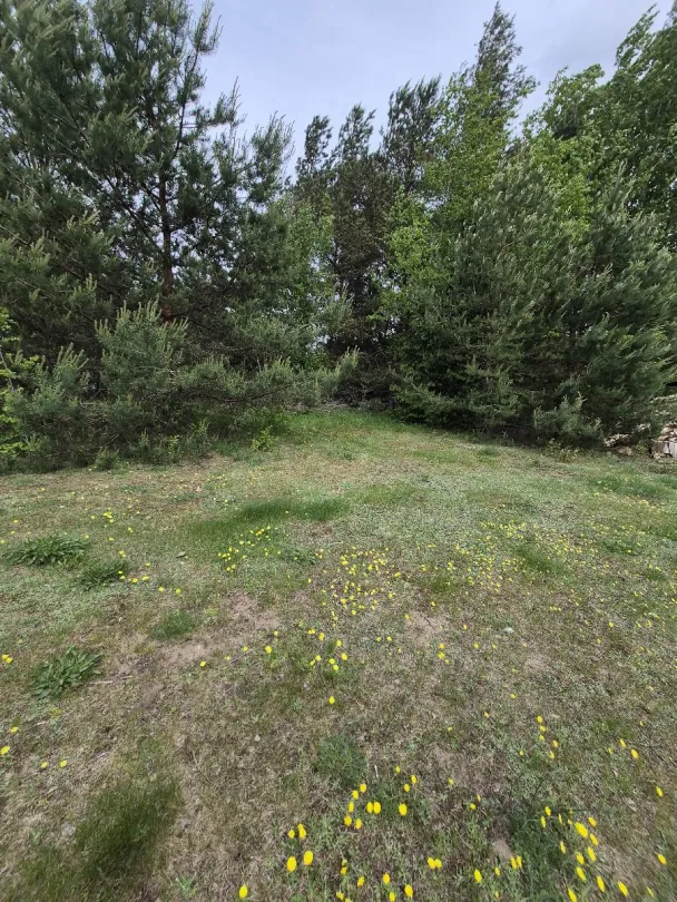 12,07 a žemės sklypas Zarasuose, Turmanto g. 43A