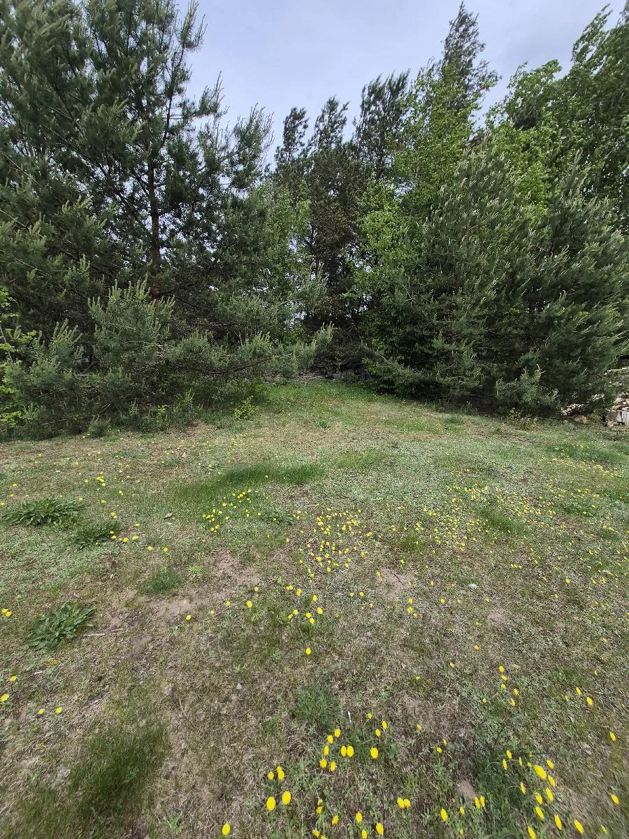 12,07 a žemės sklypas Zarasuose, Turmanto g. 43A