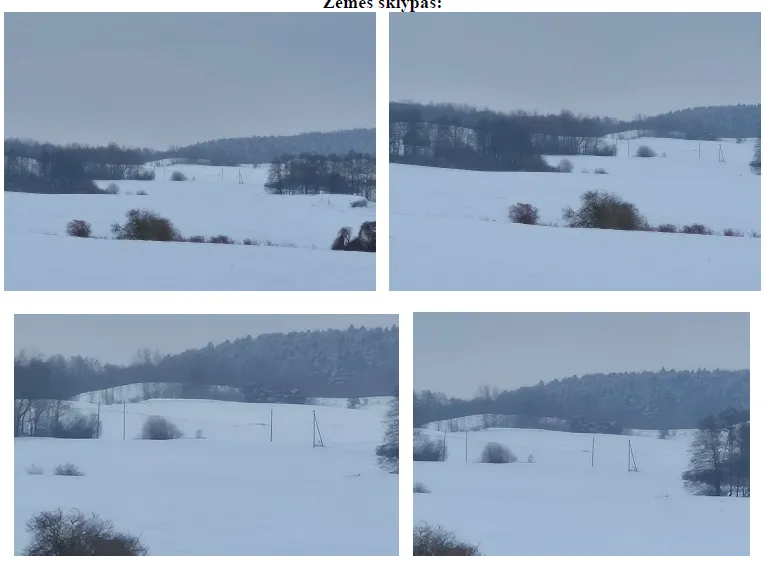 1/2 žemės sklypo dalies pardavimas Vilkaviškio r. sav., Vaidotų k.