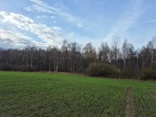 0,9544 ha miškų ūkio paskirties žemės sklypas Okainių k., Kėdainių r. sav.