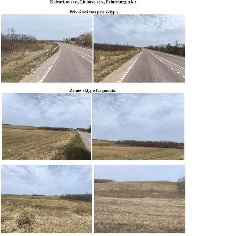 Žemės sklypo dalis Pelucmurgių k., Kalvarijos sav.