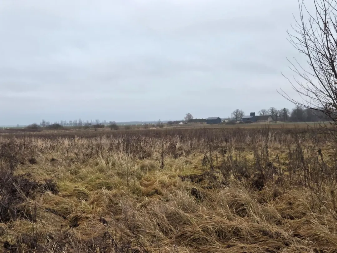 Žemės ūkio paskirties sklypas Kurmėnų k., Panevėžio r. sav.