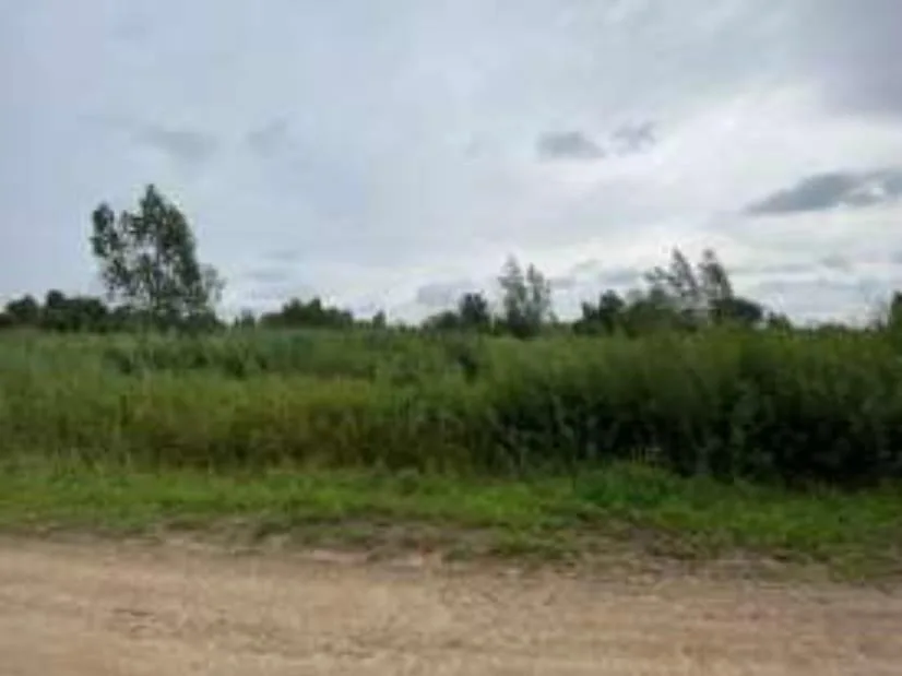 Parduodamas 9 a žemės sklypas Klaipėdoje, Užlaukio g. 41