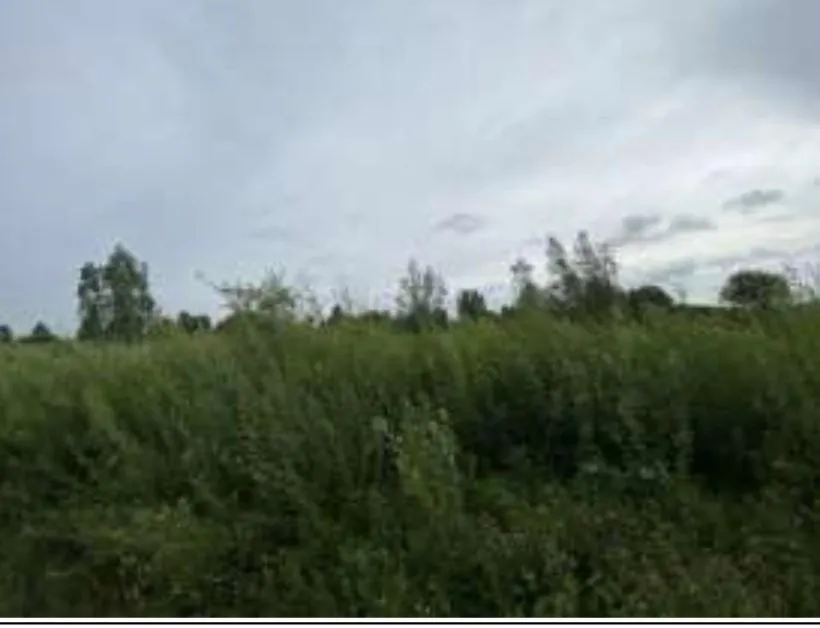 Parduodamas 10,45 a žemės sklypas Klaipėdoje, Užlaukio g. 45