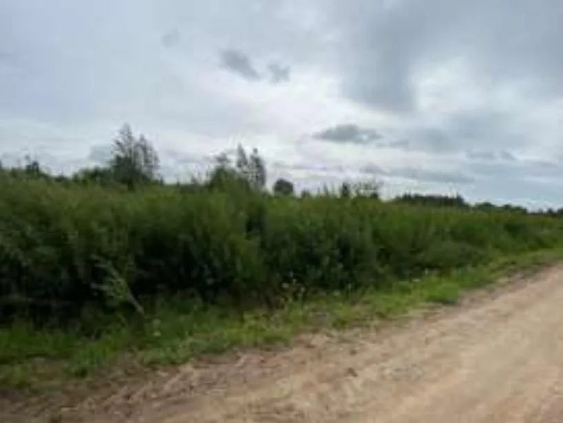 9 a žemės sklypas Klaipėdoje, Užlaukio g. 49