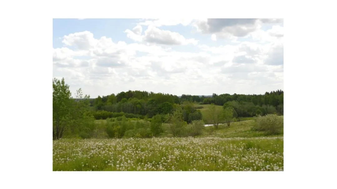 5,31 ha žemės sklypas Plungės r. sav., Kūbakių k.