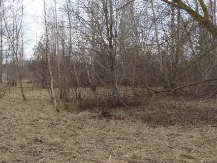Parduodamas 75,79 a žemės sklypas Panevėžyje, Tinklų g. 35H