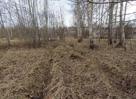 29,4 a žemės sklypas Panevėžyje, Tinklų g. 35N