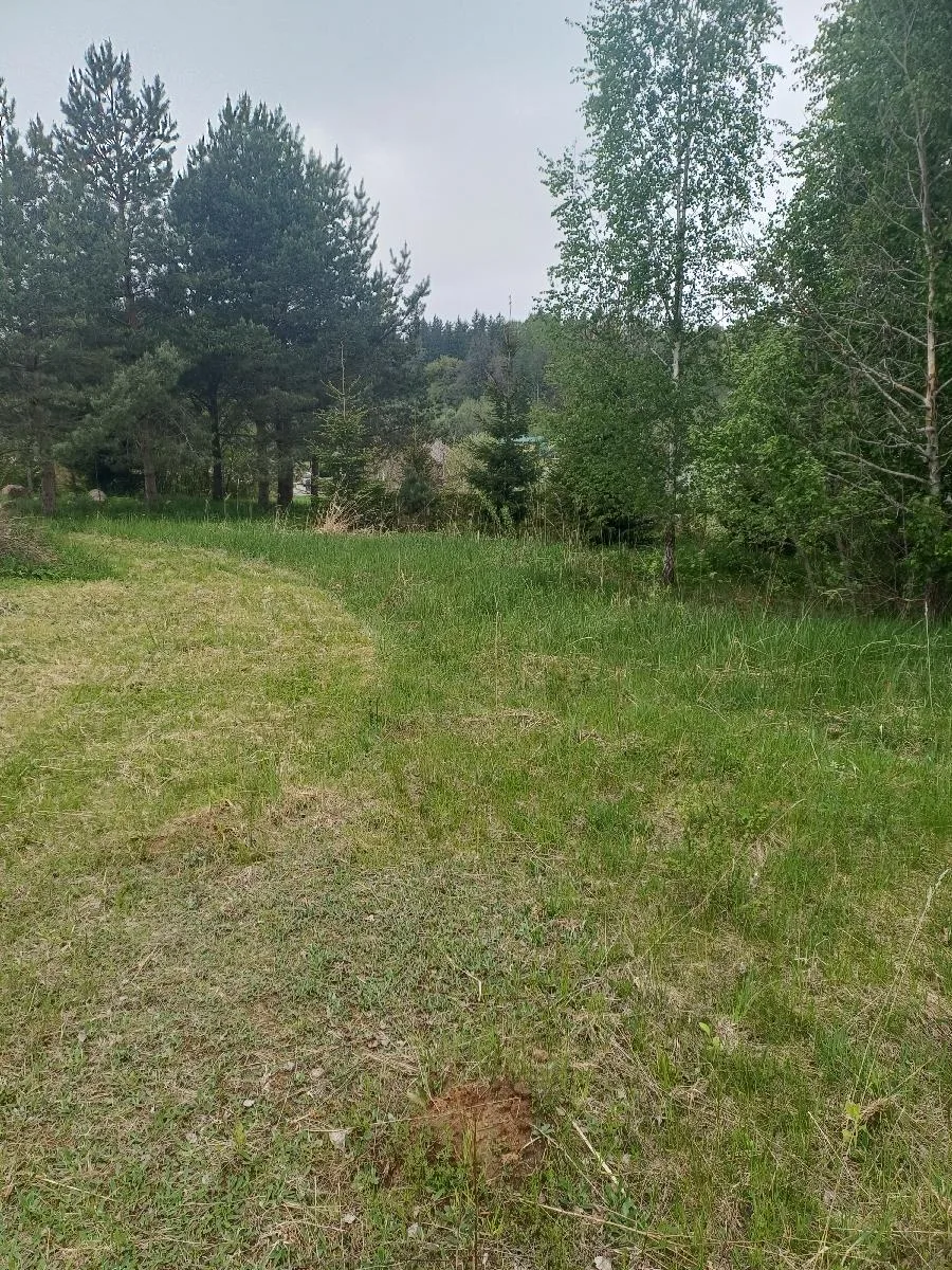 Parduodamas 14,42 a žemės sklypas Kelmėje, Nepriklausomybės g. 51