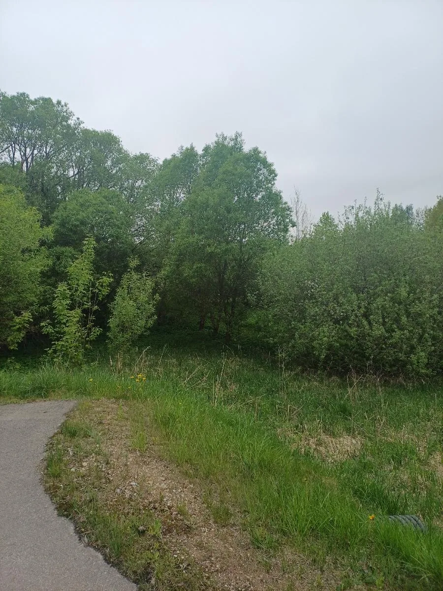 Parduodamas 12,94 a žemės sklypas Kelmėje, Nepriklausomybės g. 55