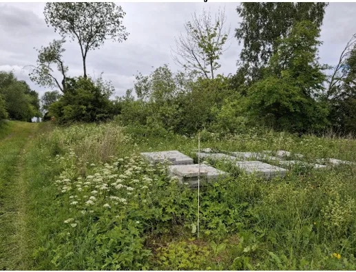 Parduodamas 21,6 a žemės sklypas Lingailių k., Šiaulių r. sav.