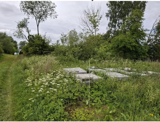 Parduodamas 21,6 a žemės sklypas Lingailių k., Šiaulių r. sav.