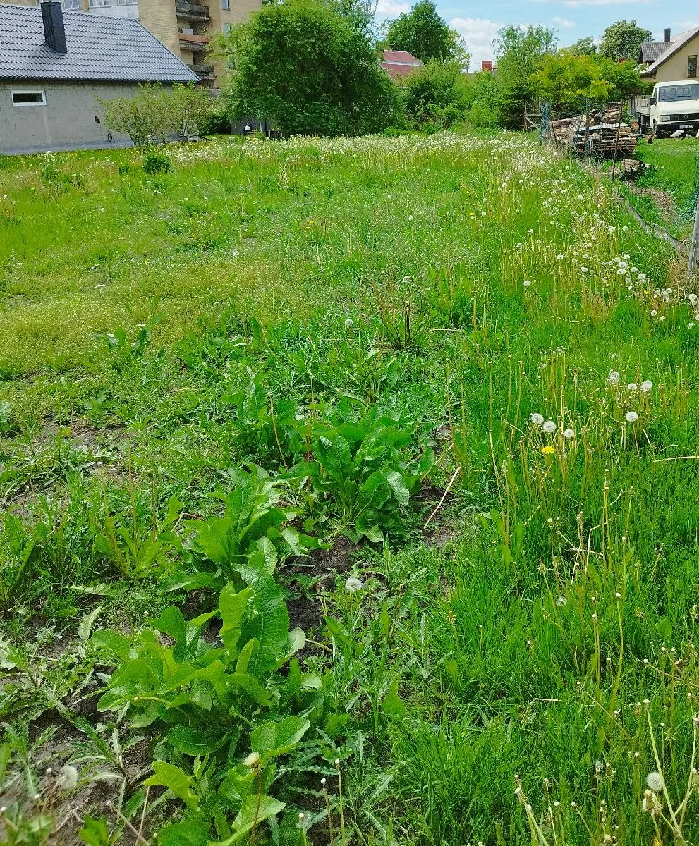 Parduodamas 4,56 a žemės sklypas Radviliškyje, Kęstučio g.