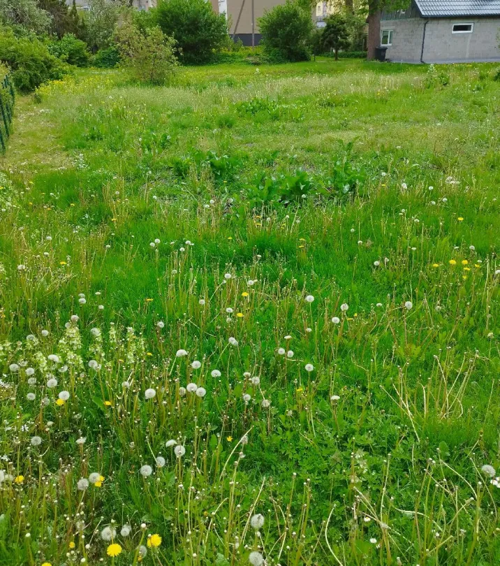 Parduodamas 5,97 a žemės sklypas Radviliškyje, Kęstučio g. 25B