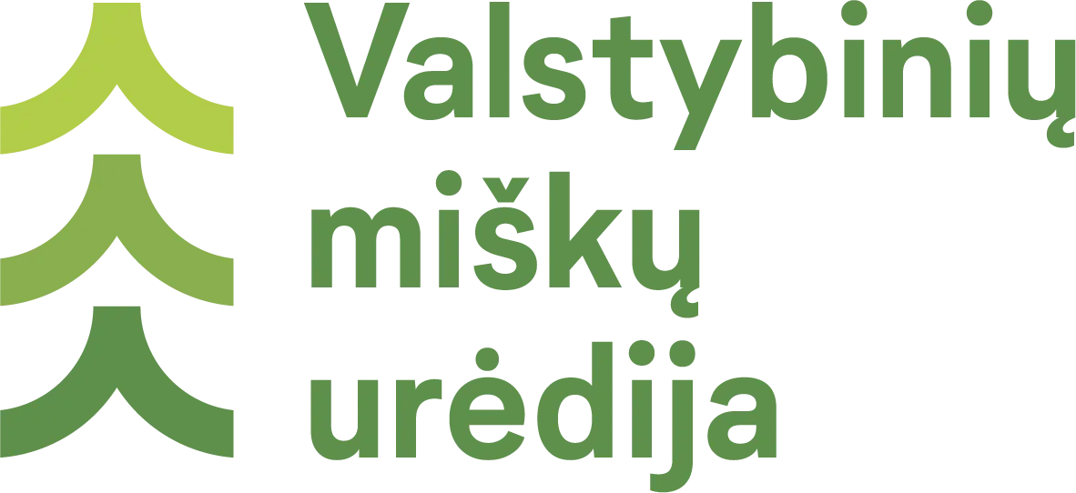 Kibernetinio saugumo vadovas (-ė)