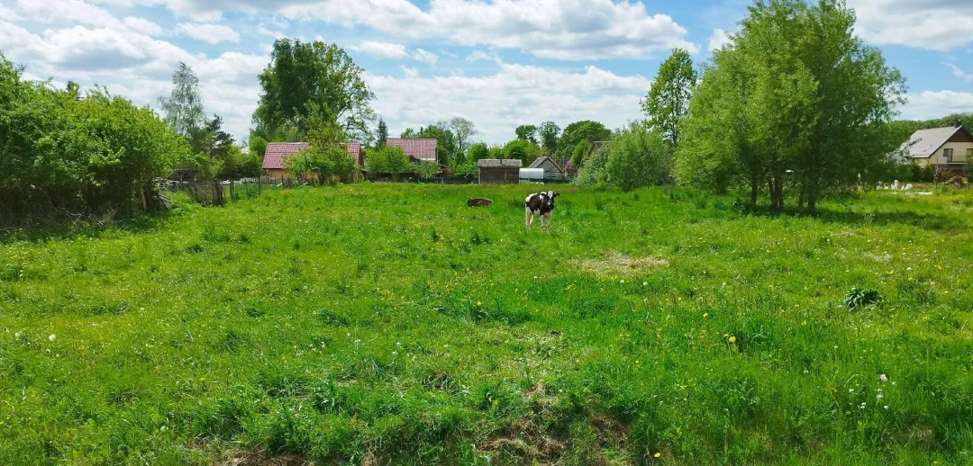 Parduodamas 26,43 a žemės sklypas Šeduvoje, Dvaro g. 6