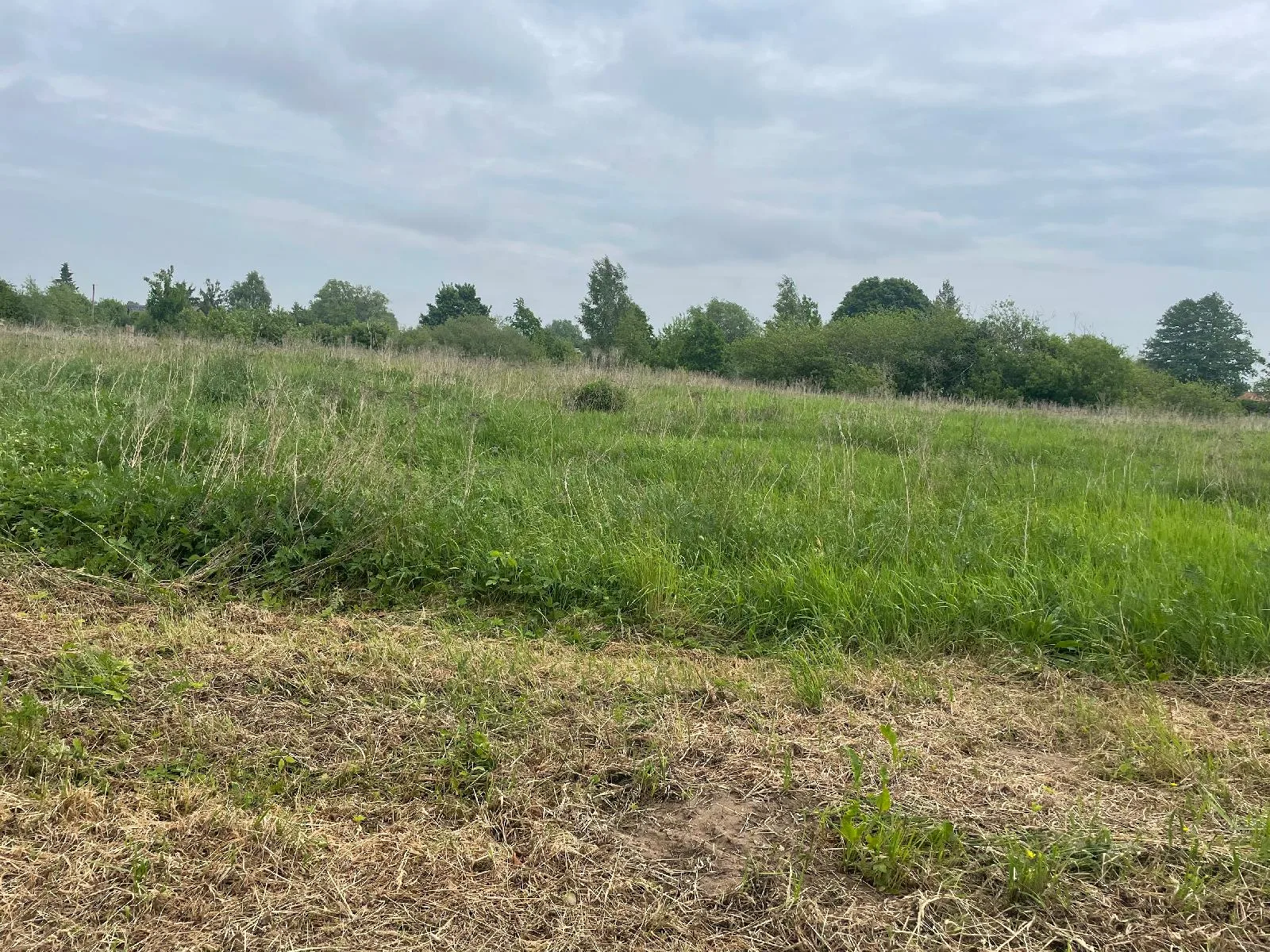 Parduodamas 17,19 a žemės sklypas Šilutėje, Statybininkų g. 41