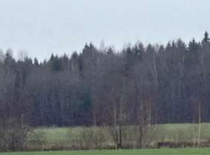 Parduodamas 35,98 a žemės sklypas Laumaičių k., Skuodo r. sav.