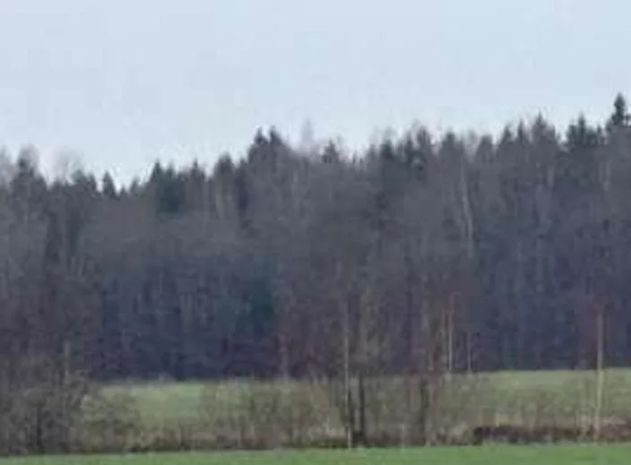 Parduodamas 35,98 a žemės sklypas Laumaičių k., Skuodo r. sav.