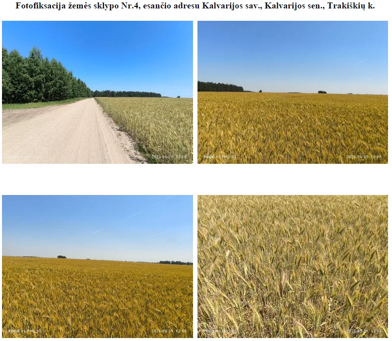 Parduodamas 6,9 ha žemės ūkio paskirties sklypas Trakiškių k.