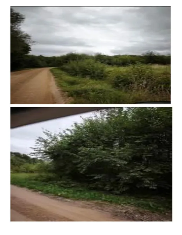 Parduodamas 9,49 a žemės ūkio paskirties sklypas Gaspariškių k., Utenos r. sav.