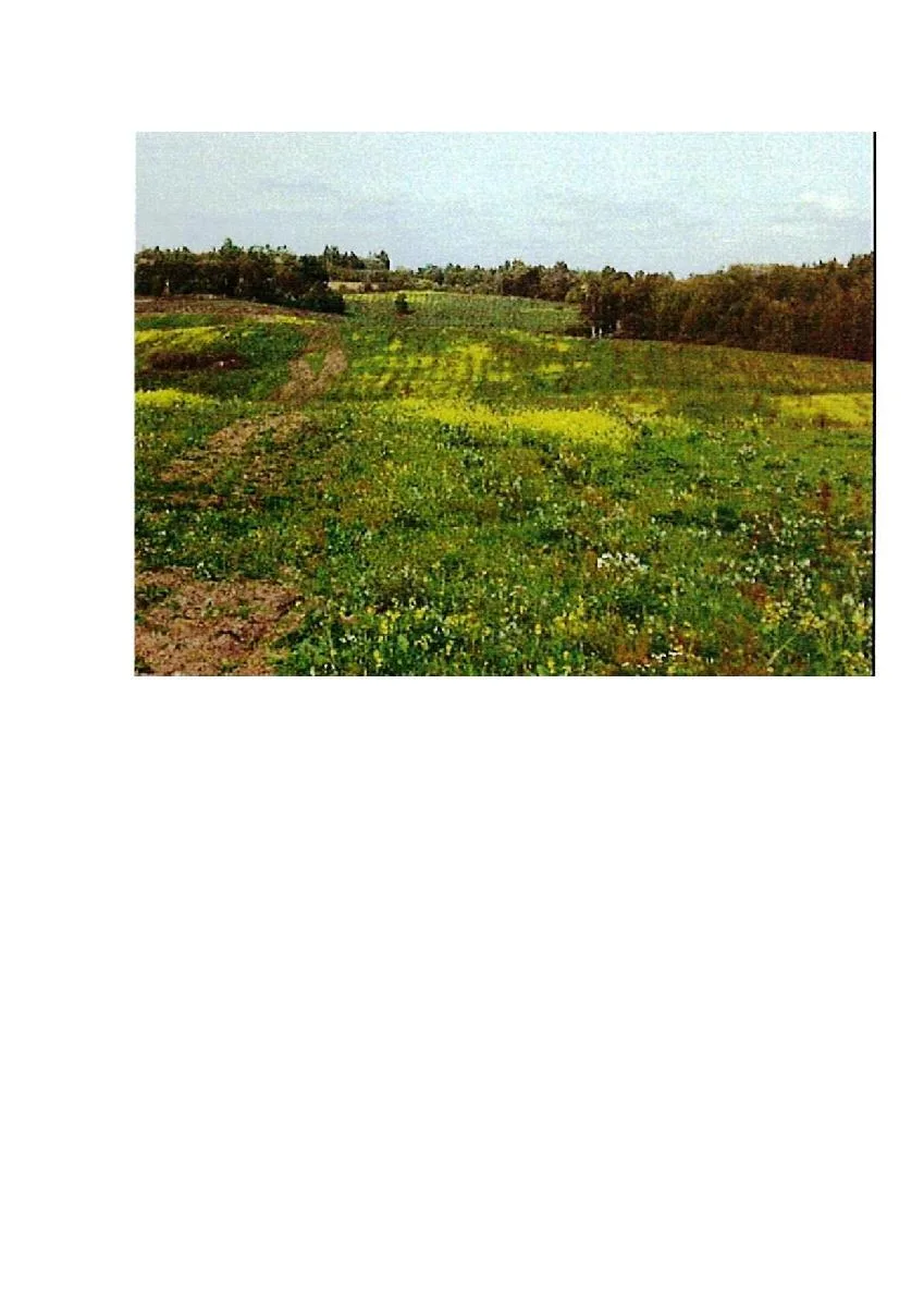 17,57 ha žemės ūkio paskirties sklypas Prienų r. sav., Intuponių k.