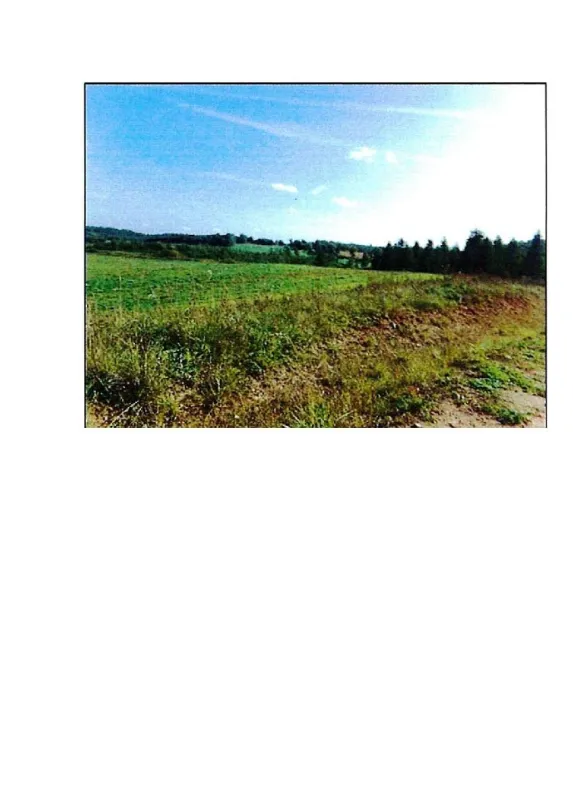 Parduodamas 2,3637 ha žemės ūkio paskirties sklypas Prienų r. sav., Rodomislės k.