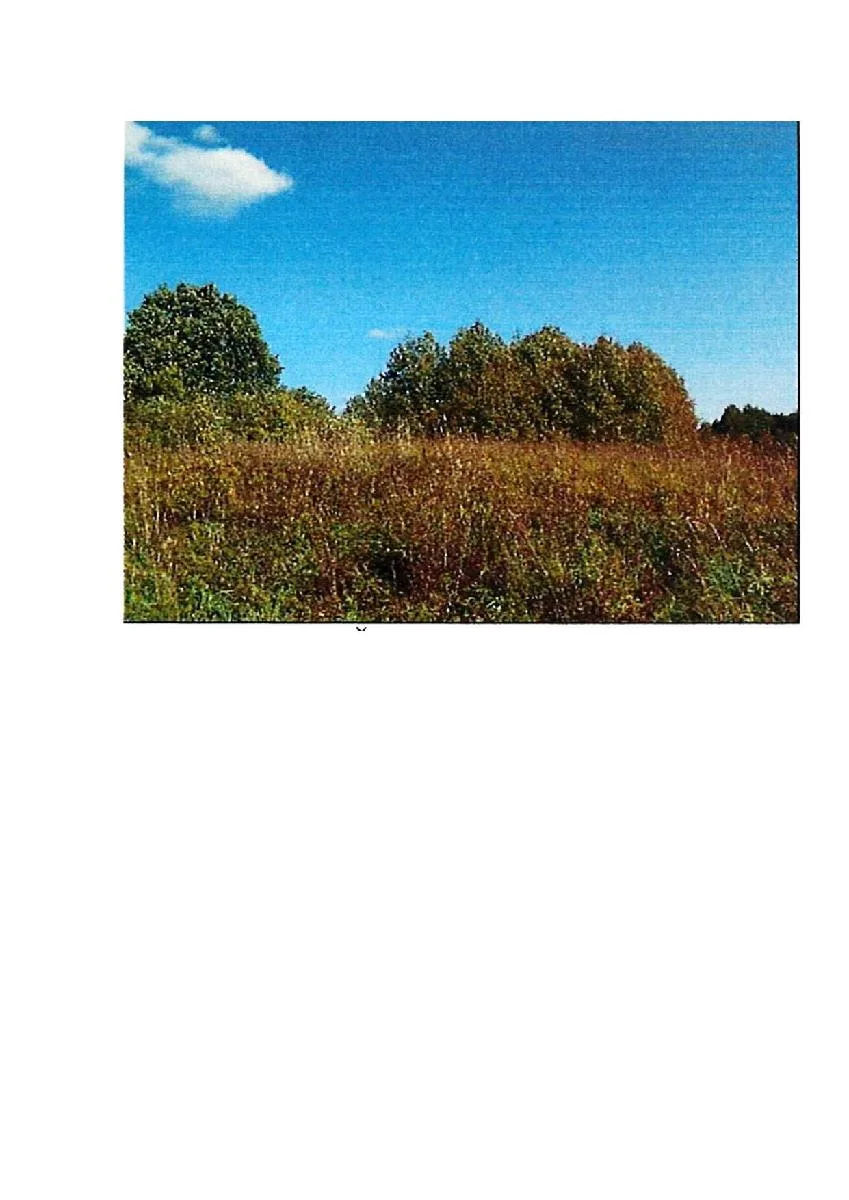 Parduodamas 25,72 ha žemės ūkio paskirties sklypas Intuponių k., Prienų r. sav.