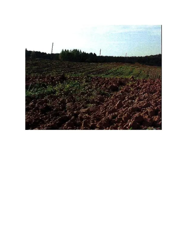 4,94 ha žemės ūkio paskirties sklypas Intuponių k., Prienų r. sav.