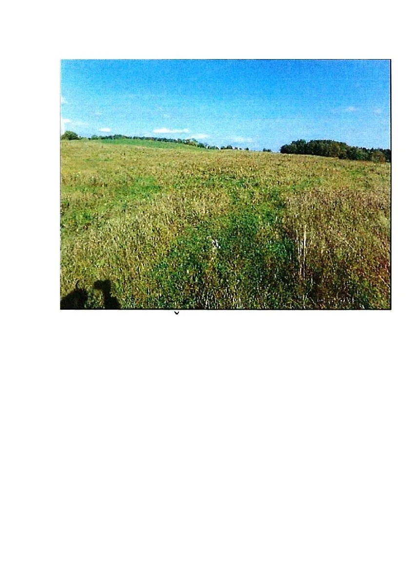 9,02 ha žemės ūkio paskirties sklypas Prienų r. sav., Rodomislės k.