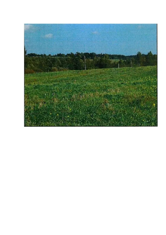 33,91 ha žemės ūkio paskirties sklypas Rodomislės k., Prienų r.
